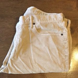 38x30 Gap Straight Cords